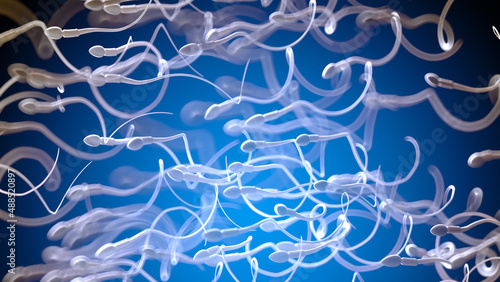 Tableau sur toile 3d rendered illustration of human sperm