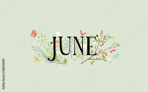 June with dragonflies, butterflies and flowers. Vector illustration