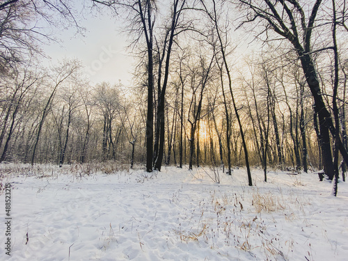 Winter sunset in snow covered park. Season and cold weather concept