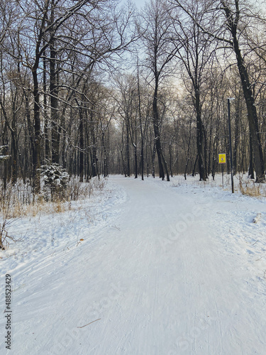 Winter path in snow covered park. Season and cold weather concept © satura_