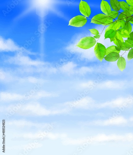 太陽の光が差し込む雲のある青空に新緑の美しい葉っぱの初夏フレーム背景素材
