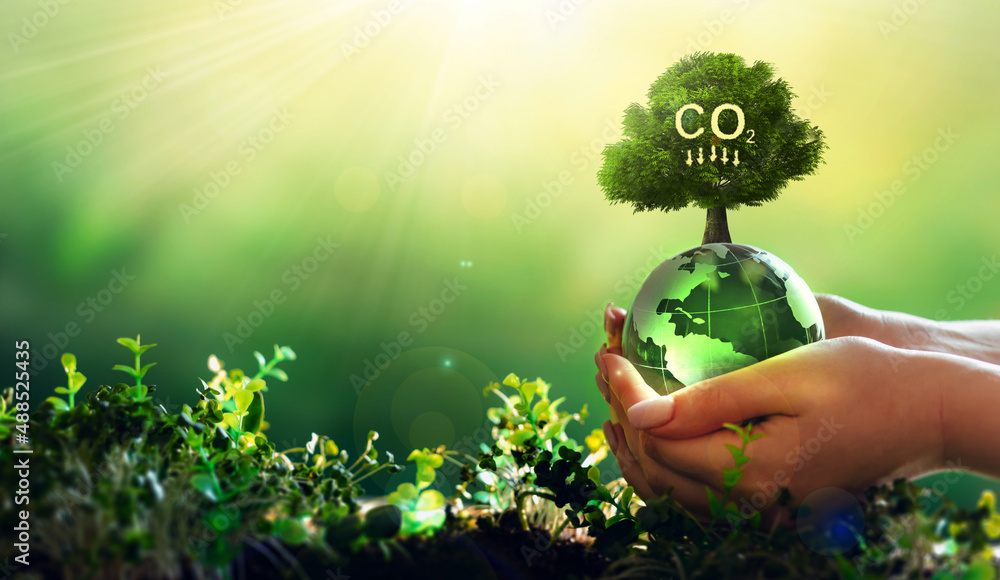 Reduce CO2 emission concept.
Renewable energy-based green businesses can limit climate change and global warming.
Clean and environmentally friendly environment without carbon dioxide emissions. - obrazy, fototapety, plakaty 