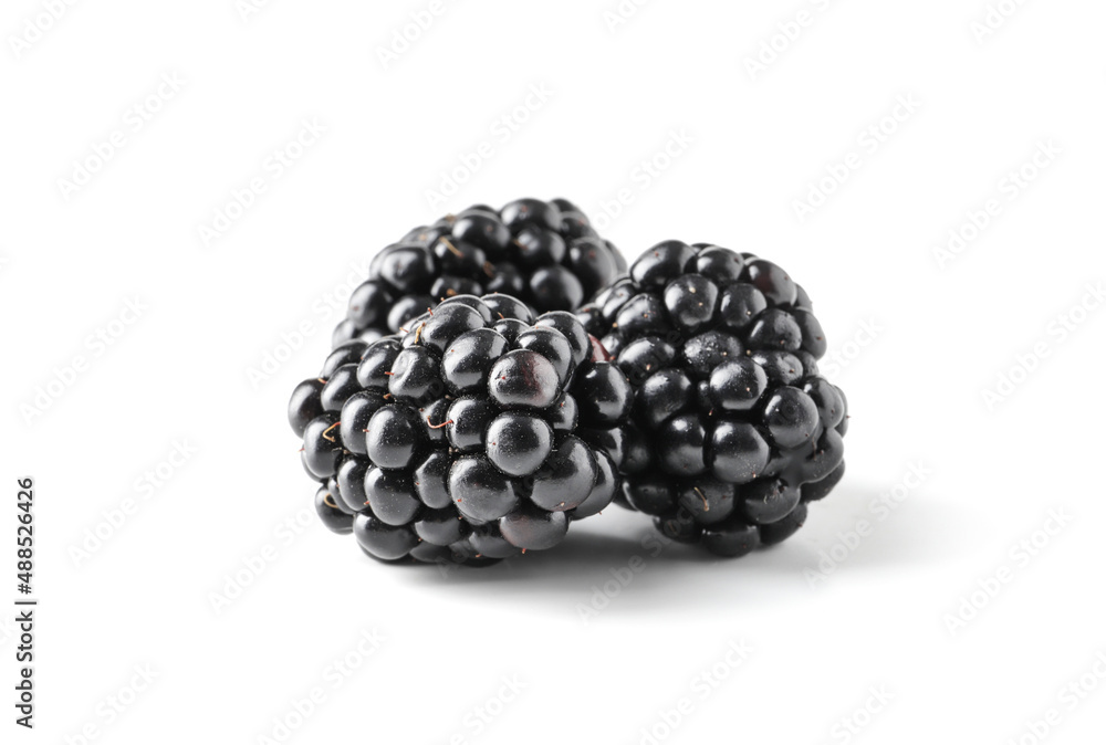 handful of fresh tasty blackberries isolated on white background handful of fresh tasty blackberries isolated on white background