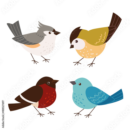 Photography set various birds