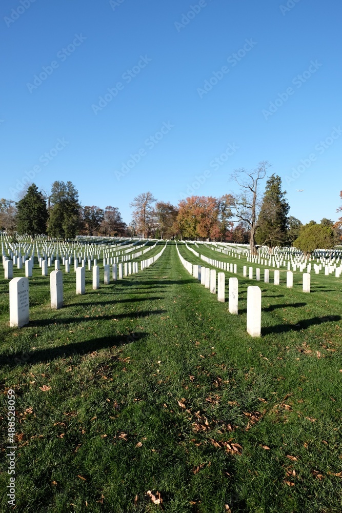 Pierres tombales blanches alignées dans le cimetière d'Arlington
