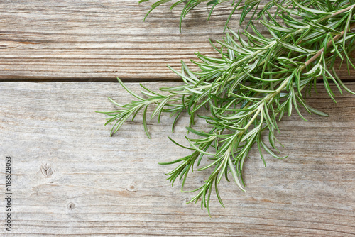 Closeup of a bunch of fresh aromatic green rosemary herb on old wood background with copy space 