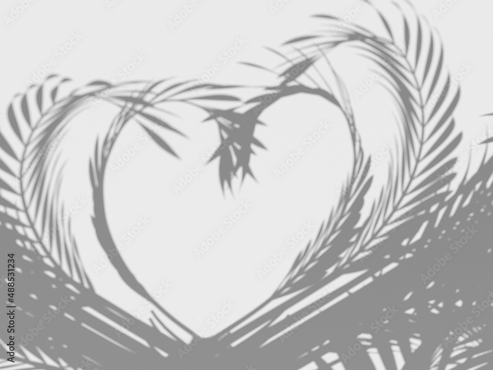 Obraz premium shadow from the leaves 3d illustration palm leaves shadow on a white background heart