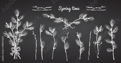 Pussy Willow branches set. Spring bouquet with ribbon bow. Chalk Hand-drawn sketch black and white design isolated on chalkboard background. Outline Sunday Easter symbol collection. Vector