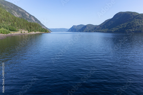 fjords and mountains norway sea flowers sunny weather © Lukasz