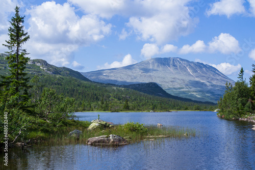 fjords and mountains norway sea flowers sunny weather