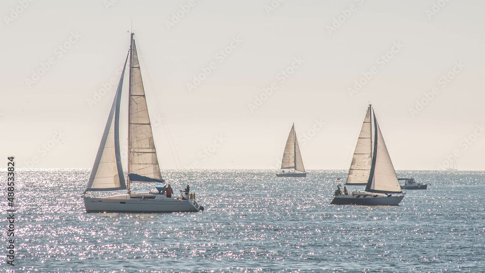 Fototapeta premium sailboat on the sea istanbul