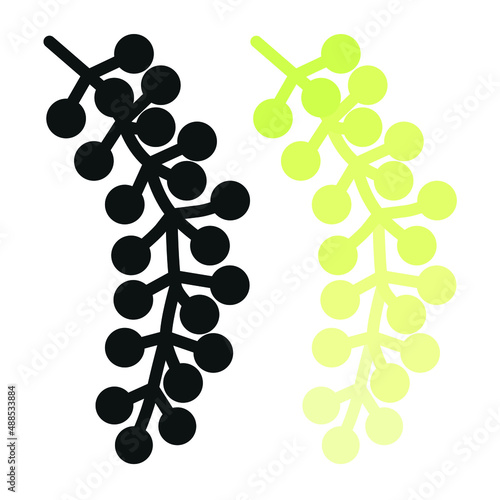 Sea cabbage Umi-budu or sea grapes, green caviar. A sprig of Caulerpa lentillifera seaweed. The logo of the sea grape. Icon. Edible seaweed of Japanese cuisine