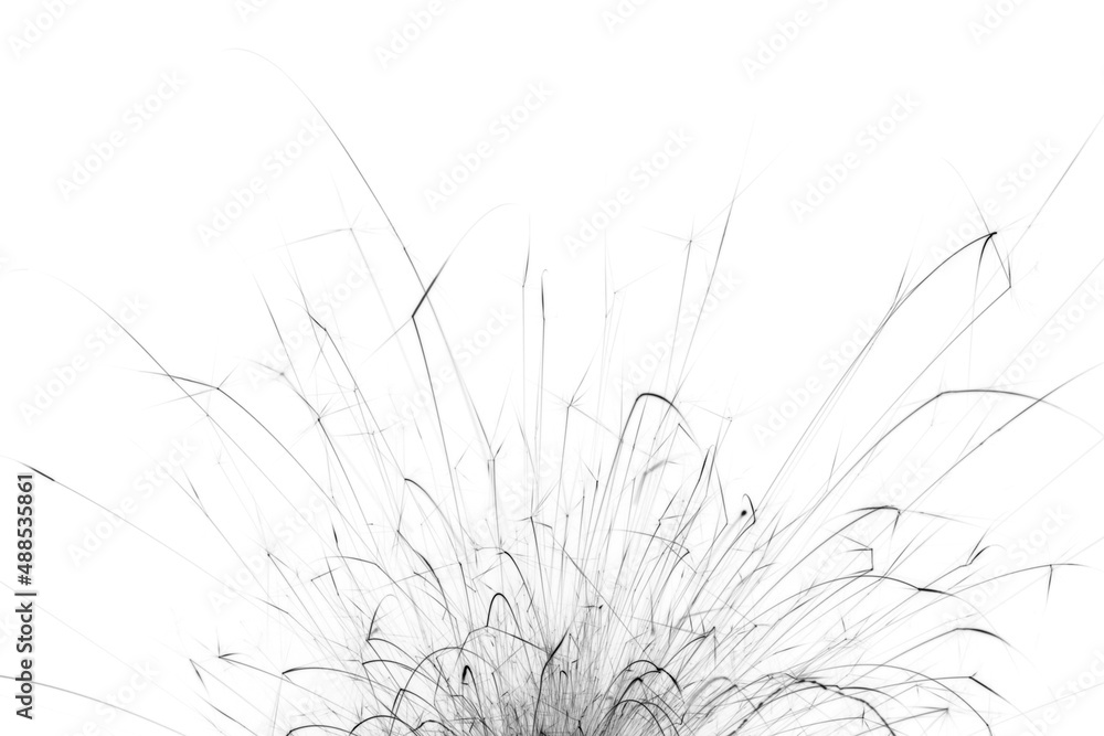 Black lines on a white background. Abstract monochrome photo of fireworks sparks.