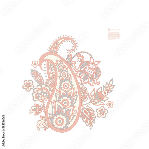 Vector Floral isolated pattern with paisley ornament.