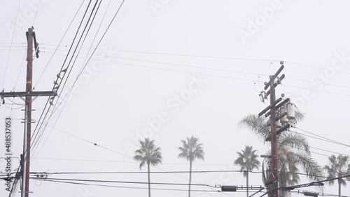 Palm trees in fog on american city street, misty foggy cloudy weather in California, USA. Power wires or lines on wooden pole. Electricity cable on high voltage post. Moody atmosphere, flock of birds.