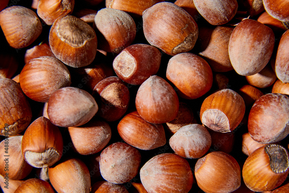 Flat lay macro Fresh hazelnut harvest, top view, close up Flat lay macro Fresh hazelnut harvest, top view, close up