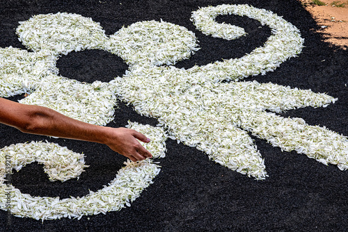 Elaborando alfombra de flores photo