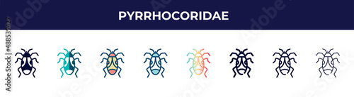 pyrrhocoridae icon in 8 styles. line, filled, glyph, thin outline, colorful, stroke and gradient styles, pyrrhocoridae vector sign. symbol, logo illustration. different style icons set. photo