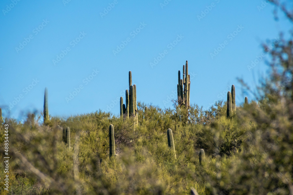 An overlooking view of nature in Tucson, Arizona