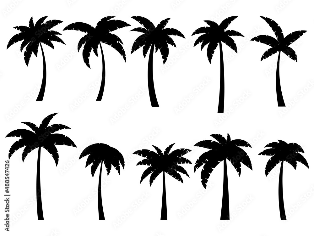 Black palm trees on a white background. Set of tropical palm trees silhouettes for poster, banner and promotional products. Summer time. Vector illustration