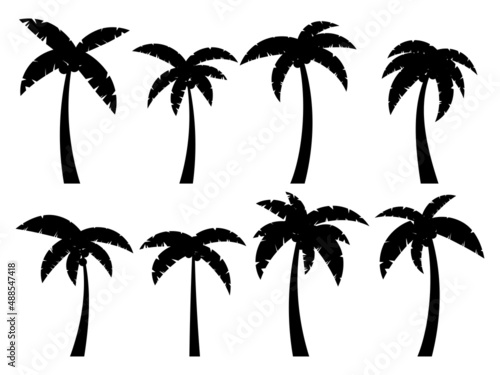 Black palm trees on a white background. Set of tropical palm trees silhouettes for poster, banner and promotional products. Summer time. Vector illustration
