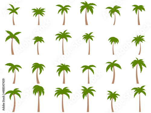 Palm trees with coconuts on a white background. Big set of tropical palm trees in different shapes and sizes for posters  banners and promotional items. Summer time. Vector illustration