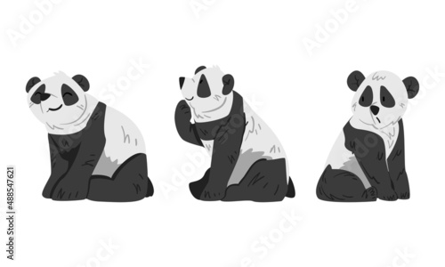 Cute panda in different poses set. Lovely wild animal cartoon vector illustration