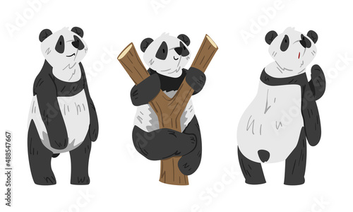 Cute panda set. Lovely wild animal cartoon vector illustration photo