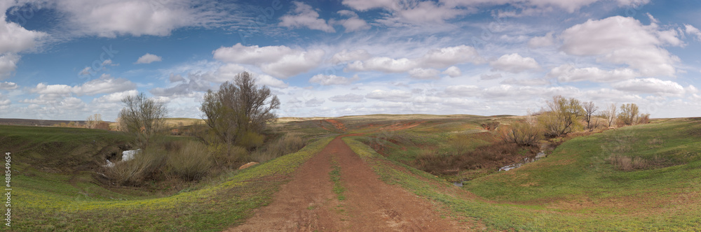 flat spring landscape with steppe road