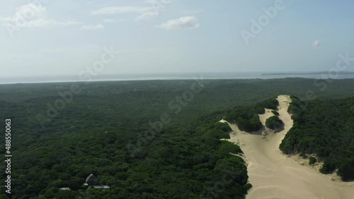 Aerial view savannah mozambique. Beautiful nature with trees and greenery in Africa. photo