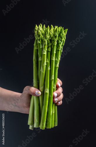 Asparagus. bunch of fresh asparagus in women s hands. banches of fresh green asparagus on dark background  Pickled Green Asparagus. vertical image. top view. place for text