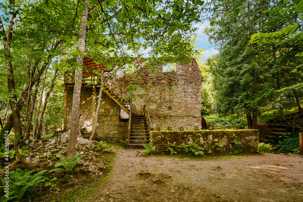 Old ruins in the forest Old ruins in the forest