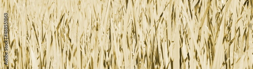 Hintergrund abstrakt sepia beige Kunst	