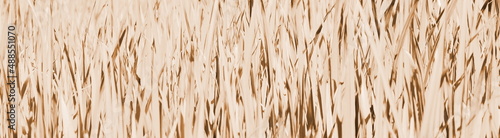 Hintergrund abstrakt sepia beige canvas	