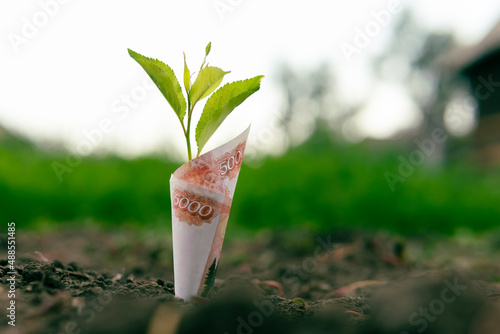 ruble bill is planted in the ground. concept of profitability from agriculture, crop production and environmental products photo