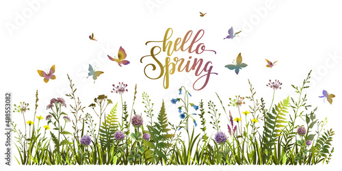 Hello spring colorful illustration with meadow herbs and flying butterflies. Floral spring background.