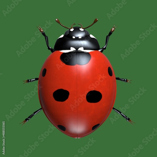 Insects are ladybugs. 3d illustration