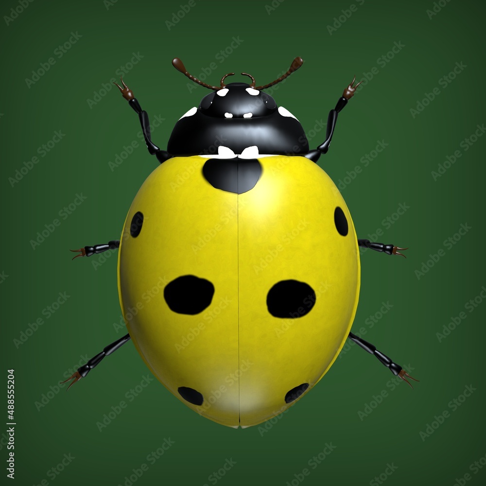 Obraz premium Insects are ladybugs. 3d illustration