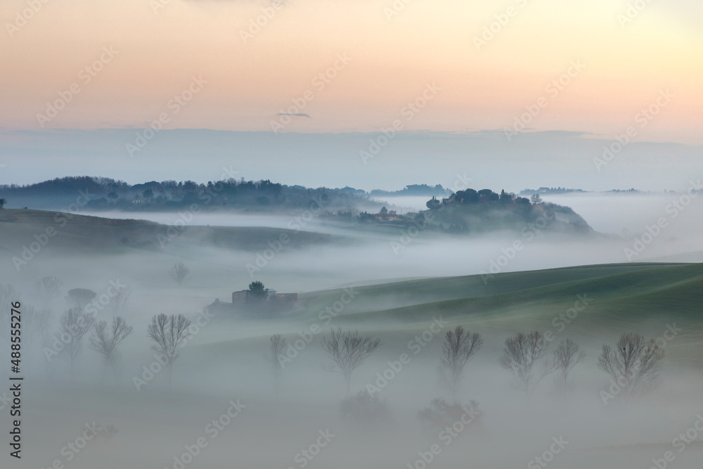 Fototapeta premium Colorful and misty sunrise between trees and hills - Landscape - Tuscany - Italy