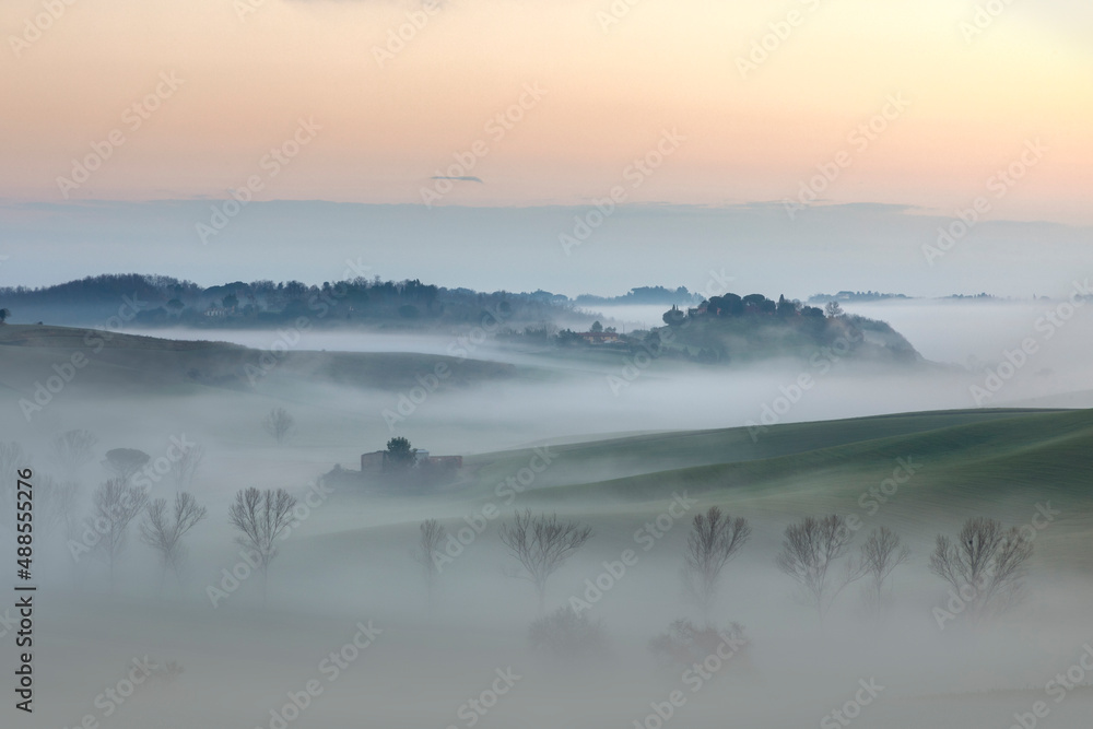 Colorful and misty sunrise between trees and hills - Landscape - Tuscany - Italy