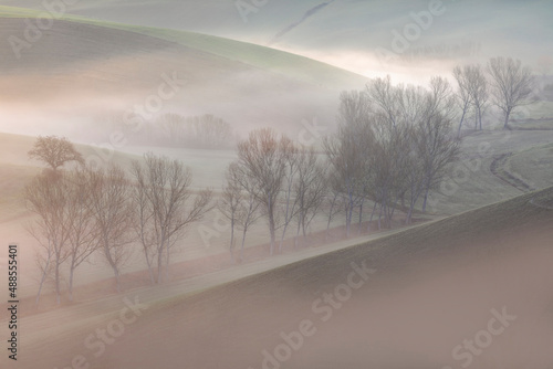 Colorful and misty sunrise between trees and hills - Landscape - Tuscany - Italy