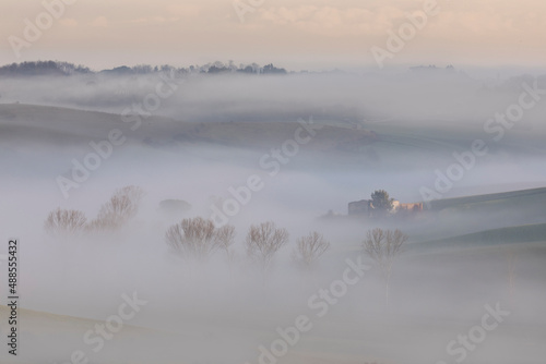 Colorful and misty sunrise between trees and hills - Landscape - Tuscany - Italy