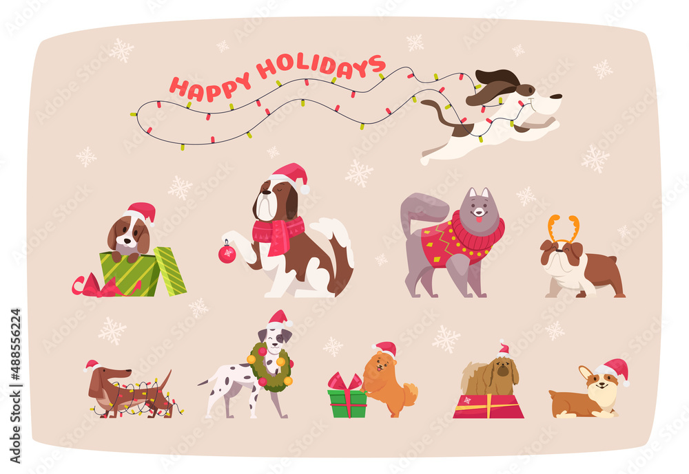 Funny christmas dogs Cute puppy in winter clothes animals in scarf and