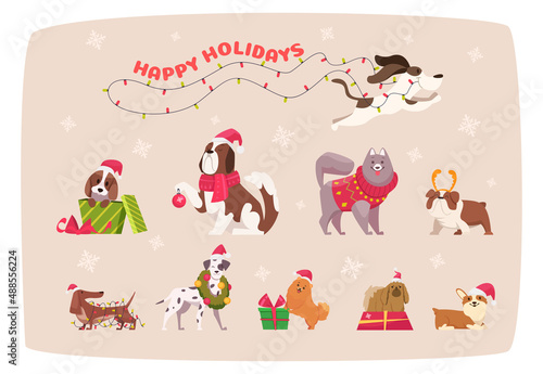 Funny christmas dogs. Cute puppy in winter clothes animals in scarf and sweater exact vector cartoon illustration set