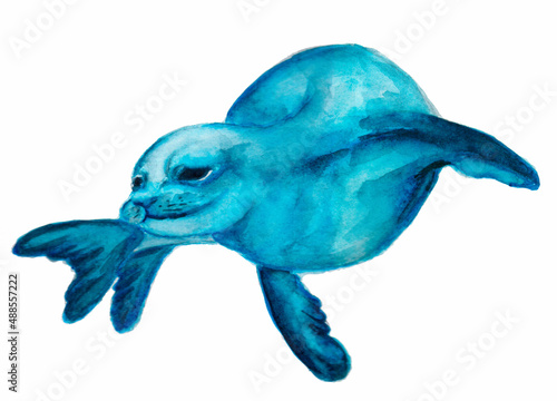 Watercolor monk seal. photo