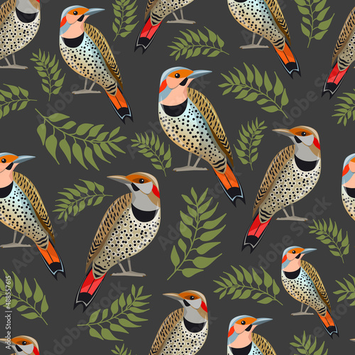 Seamless pattern with sitting birds and leaves. Northern flicker birds and sprigs with leaves isolated on dark gray background. Vector illustration. Cartoon.