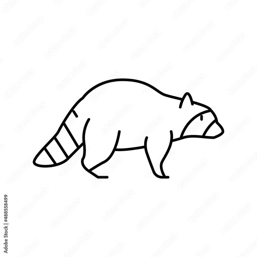 raccoon wild animal line icon vector illustration raccoon wild animal line icon vector illustration