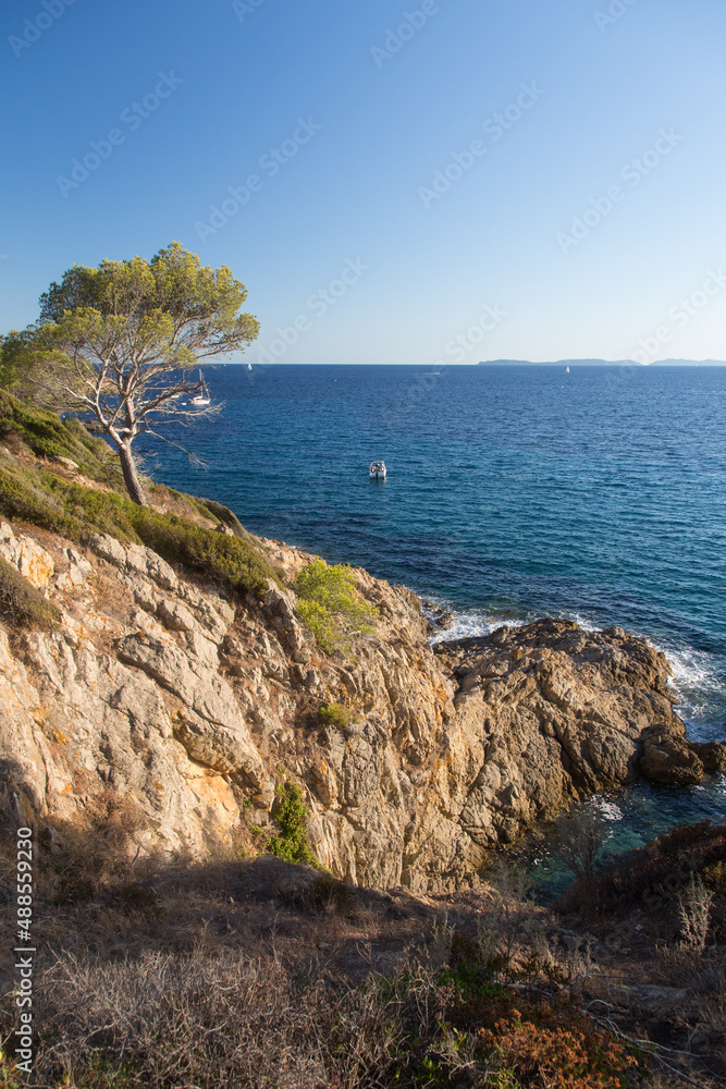 Fototapeta premium Beautiful crystalline blue mediterranean and jagged cliffs under pines along the rocky hiking trail Sentier du Littoral in the beautiful nature reserve at the peninsula Saint Tropez