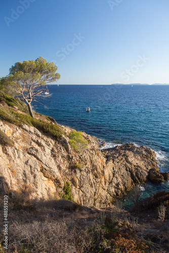Beautiful crystalline blue mediterranean and jagged cliffs under pines along the rocky hiking trail Sentier du Littoral in the beautiful nature reserve at the peninsula Saint Tropez