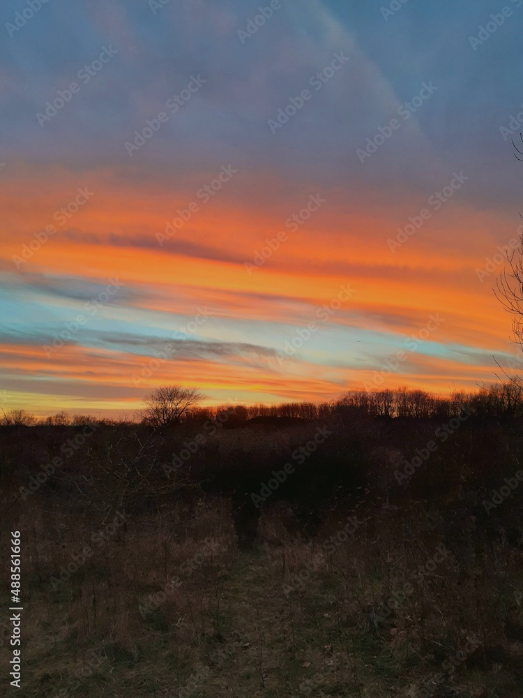 sunset over the field